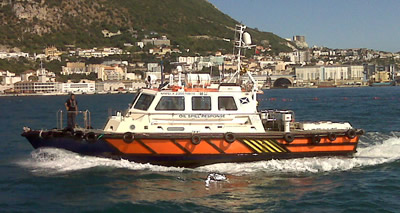 Alex_400